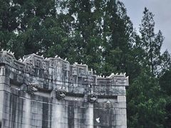-音乐台