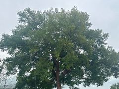 -东钱湖旅游度假区