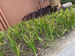 -兰州-西固陈记牛肉面·烧烤(山阴路店)