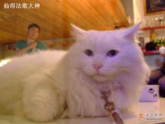 -Babycat私家御饼屋(龙头路一店)