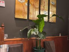 -荷花泰菜(东方新天地店)