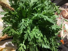 茼蒿-唇辣号重庆老火锅(燕郊鑫乐汇店)