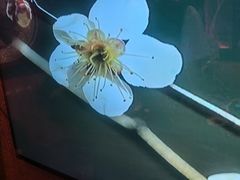 -路边边.炒菜烧烤.音乐餐厅(良乡长虹店)