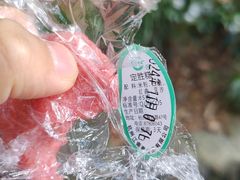 -江南春(中山中路店)