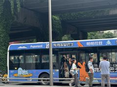 -帕帕拉兹宠物(亚洲旗舰店)