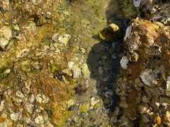 -隐厨·海鲜餐厅(恒通路店)