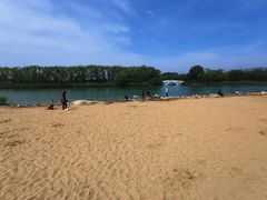 -大兴滨河森林公园