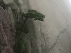 -文娟土菜馆(天柱山店)