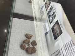 -中国西峡恐龙遗迹园