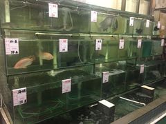 水产区-祈胜邨•顺德鱼生•顺德菜(容桂店)