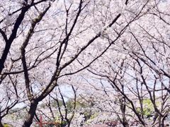 -中国茶叶博物馆(双峰馆区)