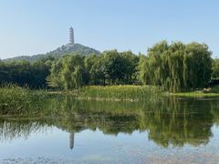 -北坞公园