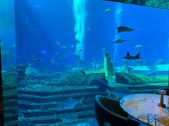 -亚特兰蒂斯•OSSIANO奥西亚诺海底餐厅