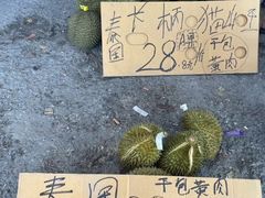 -海吉星市场