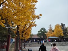 -晋祠公园