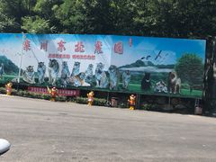 -栾川竹海野生动物园