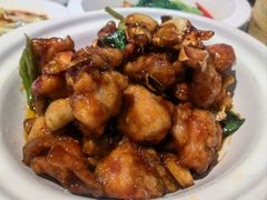 -老广酒楼(樱花店)
