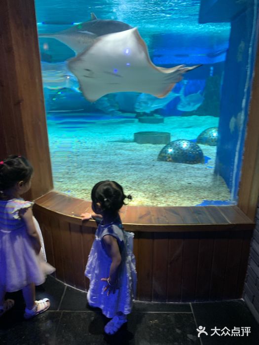 成都浩海立方海洋公园图片