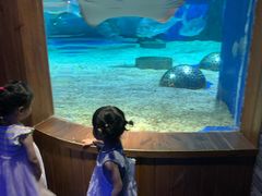 -成都浩海立方海洋公园