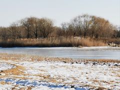 -北京麋鹿生态实验中心