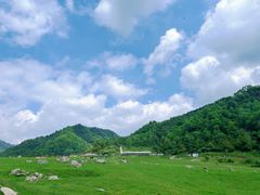 -狮子沟牧场