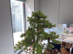 -顺峰(农展馆店)