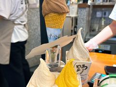 -野人先生Gelato(上海长宁龙之梦店)
