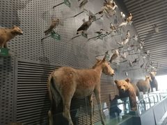 -中国湿地博物馆