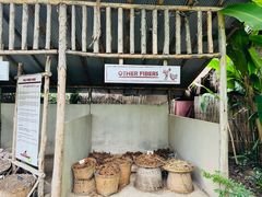 -大象粑粑造纸公园