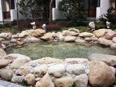 温泉-苏州香山国际大酒店