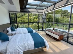 -广州市流溪河国家森林公园