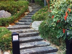 -Hello Kitty Cafe(弘大店)