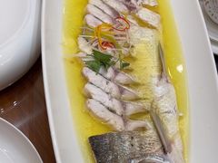 -鲁宴·鲁煨黄河生态大鲤鱼(月坛店)