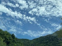 -牛背梁国家森林公园