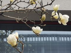 -中国中医科学院西苑医院(本部)