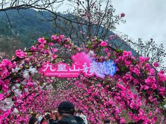 -九皇山景区
