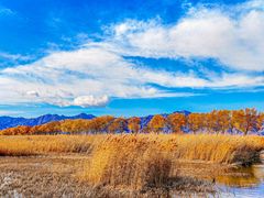 -野鸭湖国家湿地公园