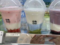 -白色日记·手作酸奶(麦凯乐店)