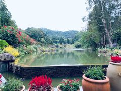 -深圳仙湖植物园
