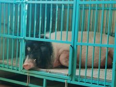 -小时光咖啡馆(开森度假森林店)