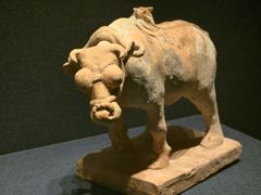 -亳州博物馆