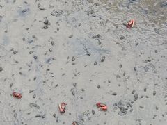 -北海金海湾红树林生态旅游区