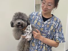-佩兹宠物医院肿瘤专科·眼科·牙科(黄浦店)