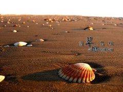 -翡翠岛