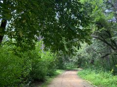 -长春市南湖公园