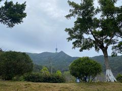 -梧桐山风景名胜区