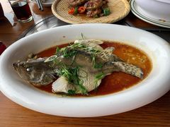 -八仔大富楼·河鲜(西江店)