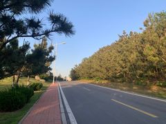 -威海国际海水浴场旅游区