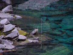 -叠溪松坪沟景区