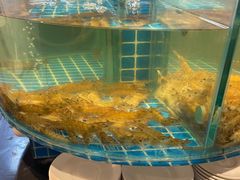-汉来海港·海鲜自助餐厅(上海七宝领展广场店)